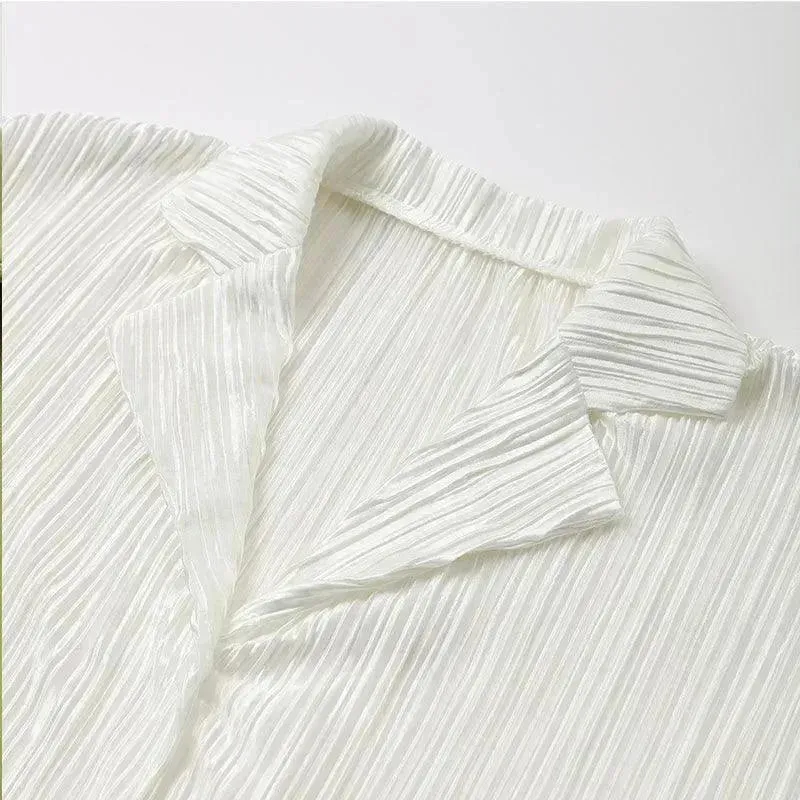 Women Pleated Two-Piece Pants Set